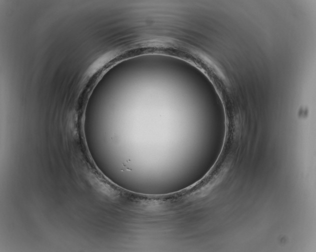 X0000096700970200802051407