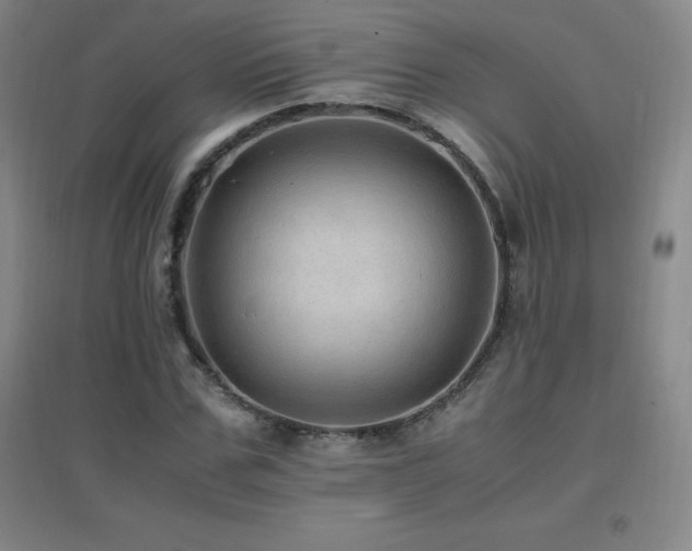 X0000096700971200802051407