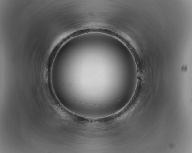 X0000096700973200802051407