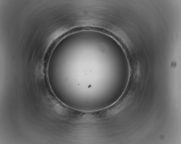 X0000096700974200802051407