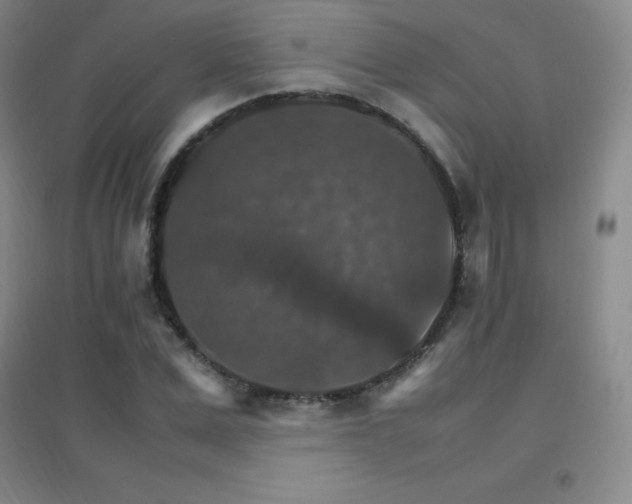 X0000096700975200802051407