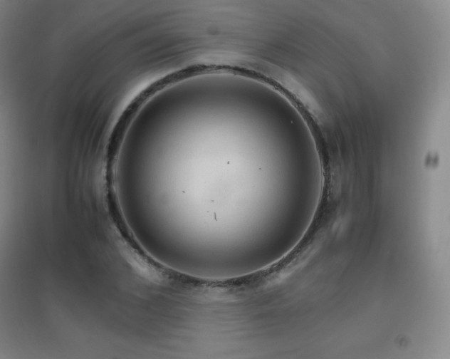 X0000096700976200802051407