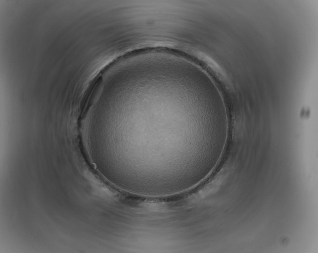 X0000096700977200802051407