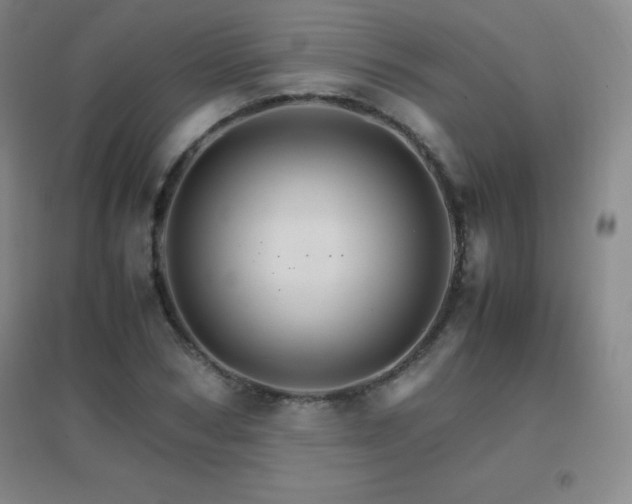 X0000096700978200802051407