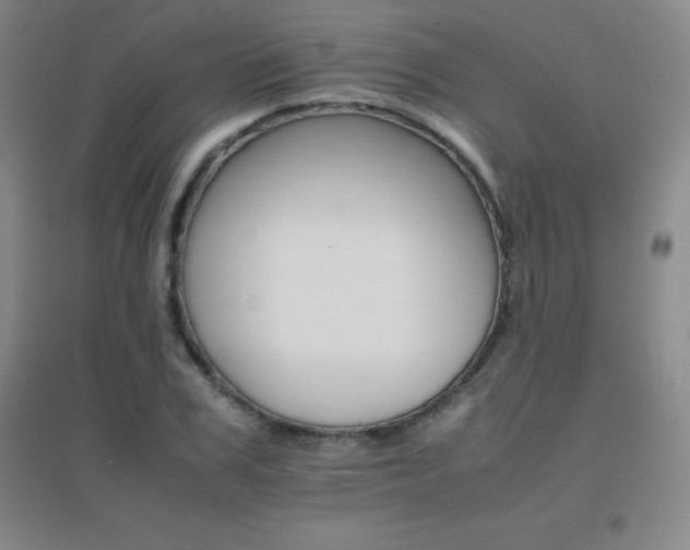 X0000096700979200802051407