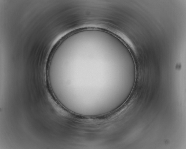 X0000096700980200802051407