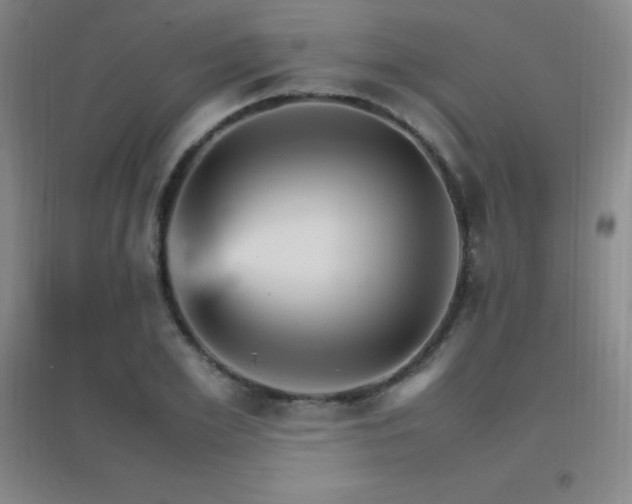 X0000096700981200802051407