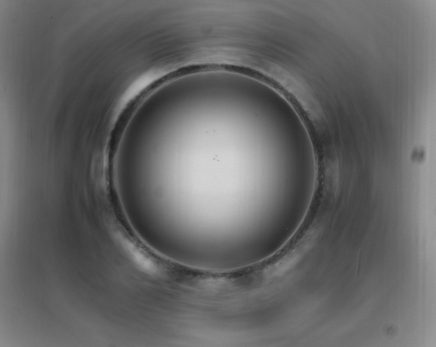 X0000096700982200802051407