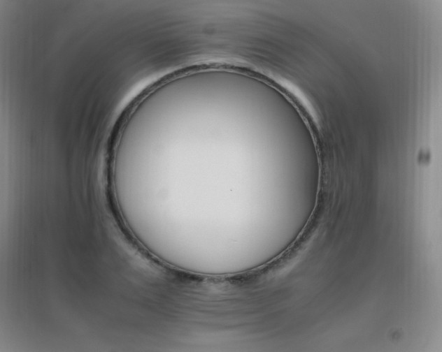 X0000096700983200802051407