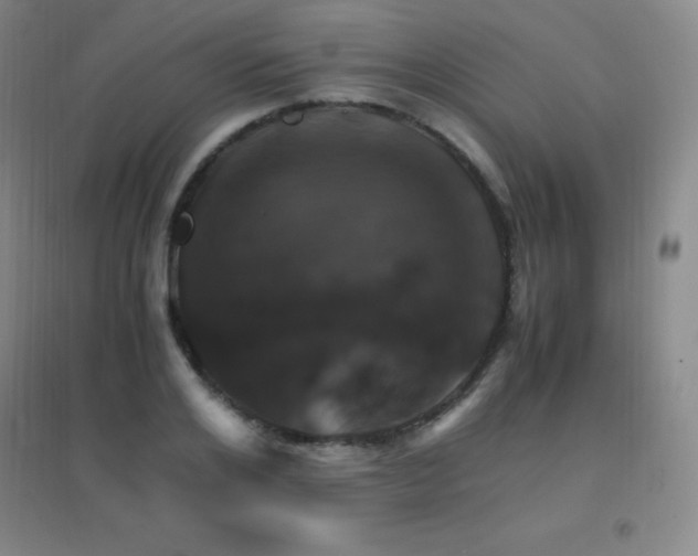 X0000096700984200802051407