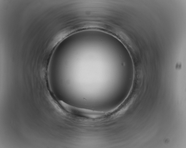 X0000096700985200802051407