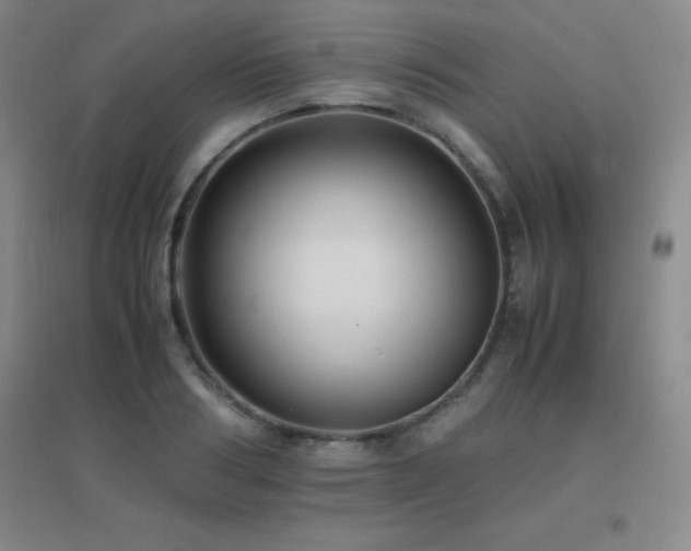 X0000096700986200802051407