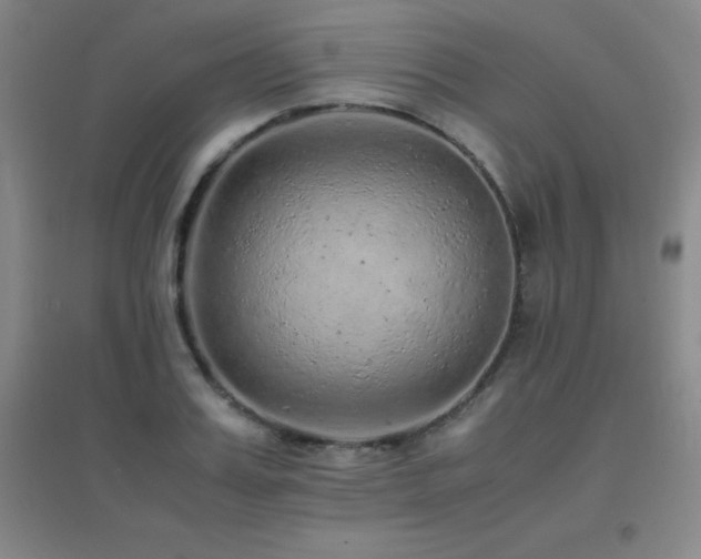 X0000096700987200802051407