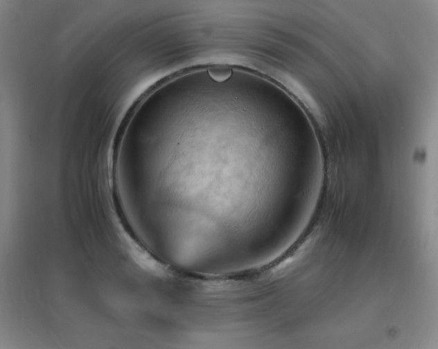 X0000096700988200802051406