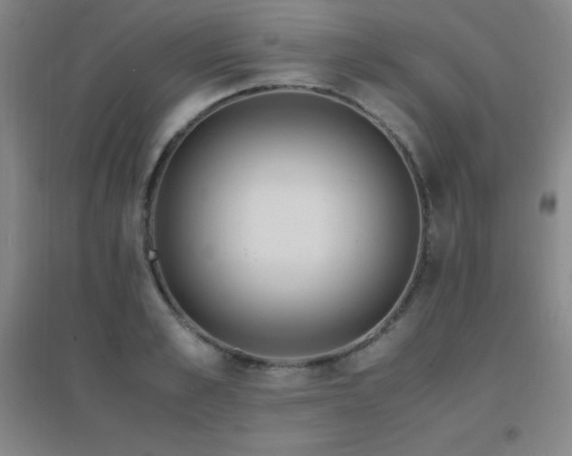 X0000096700989200802051406
