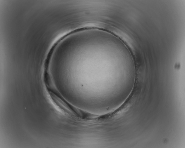 X0000096700991200802051406