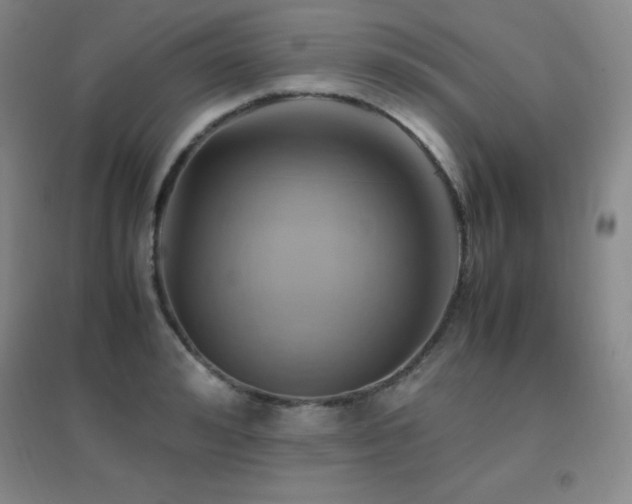 X0000096700992200802051406