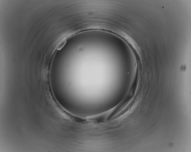 X0000096700993200802051406