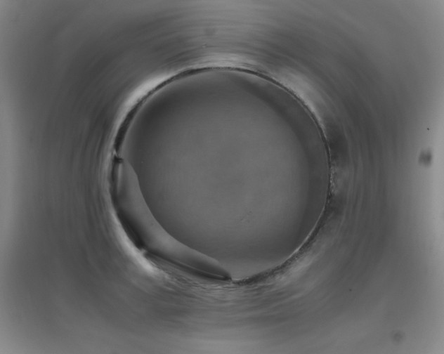 X0000096700995200802051406