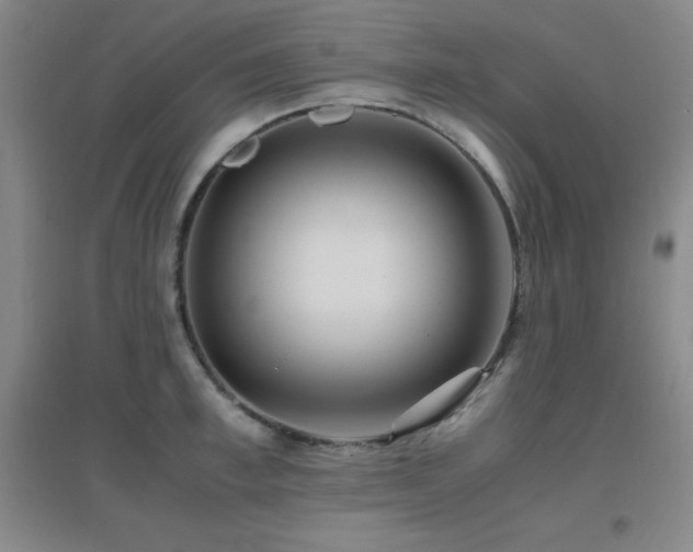 X0000096700997200802051406