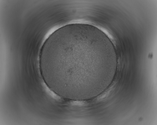 X0000096700998200802051406