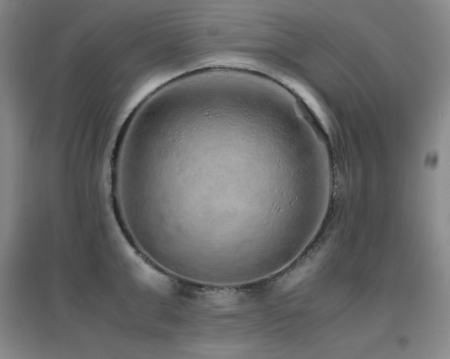 X0000096700999200802051406