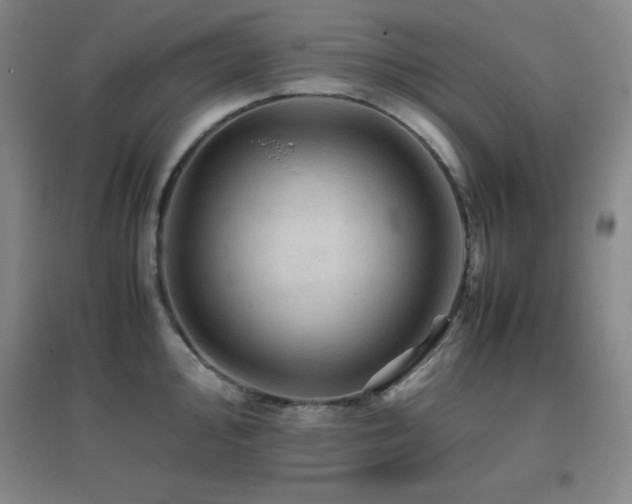 X0000096701000200802051406