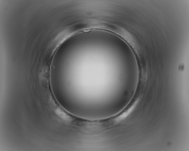 X0000096701001200802051406