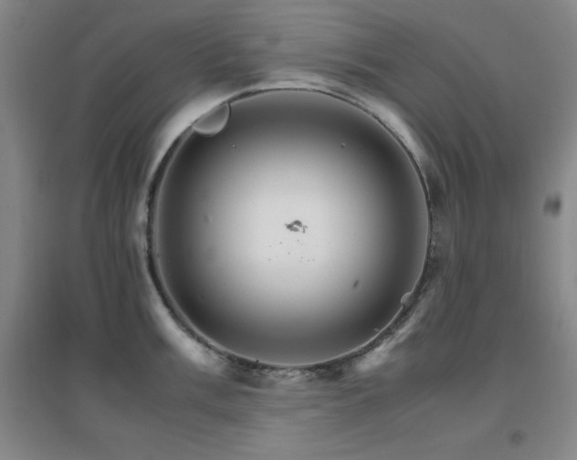 X0000096701003200802051406