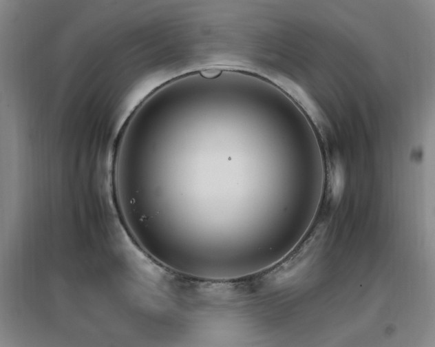 X0000096701006200802051406