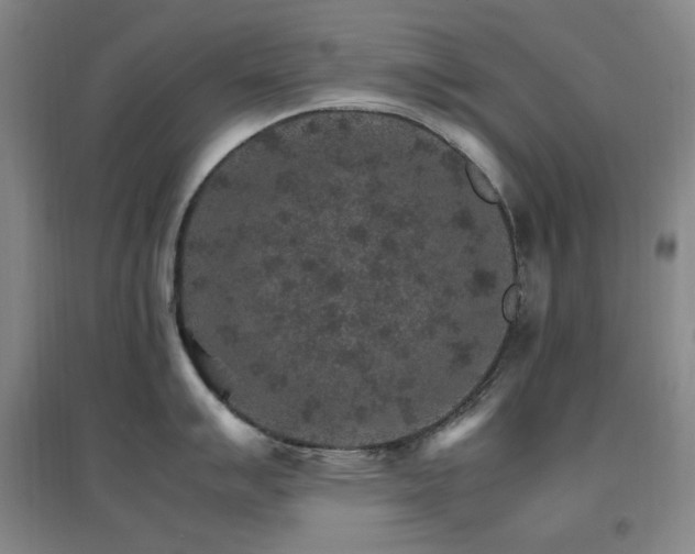 X0000096701007200802051406