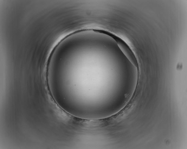 X0000096701008200802051406