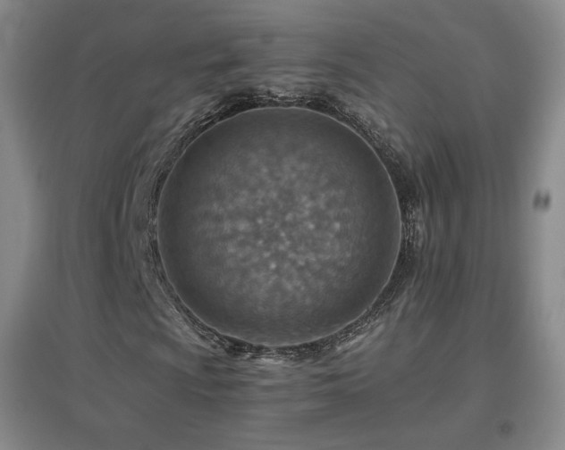 X0000096701009200802051405