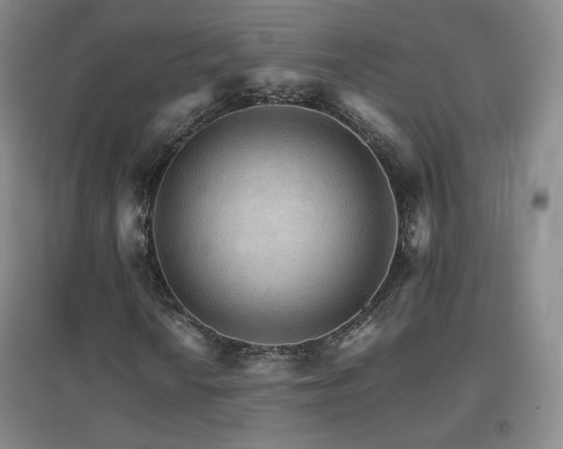 X0000096701010200802051405