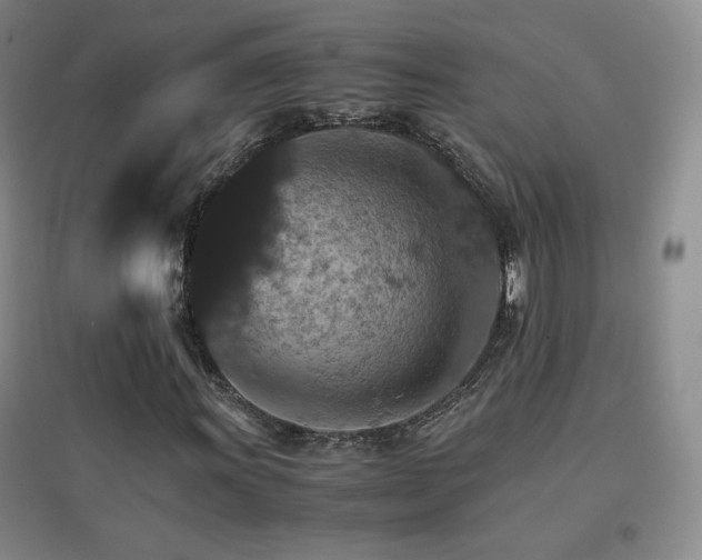 X0000096701011200802051405