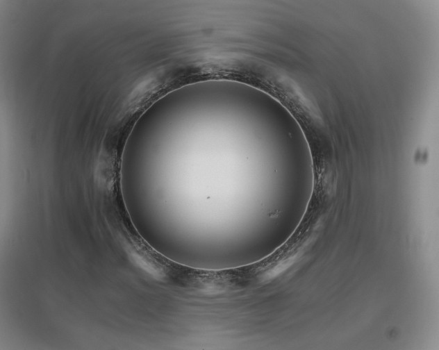 X0000096701012200802051405