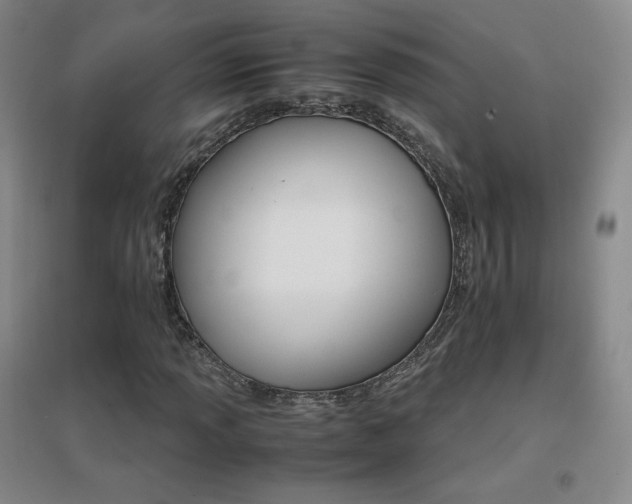 X0000096701013200802051405