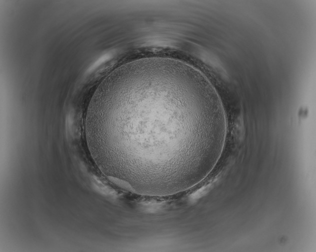 X0000096701014200802051405