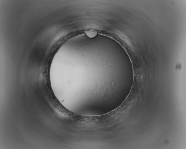 X0000096701015200802051405