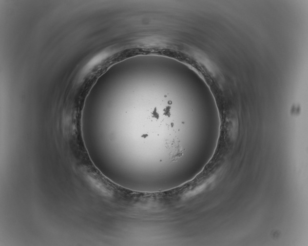 X0000096701016200802051405