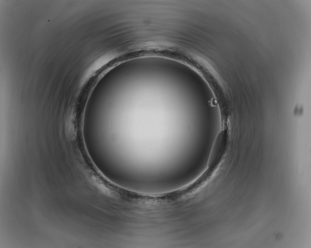 X0000096701018200802051405