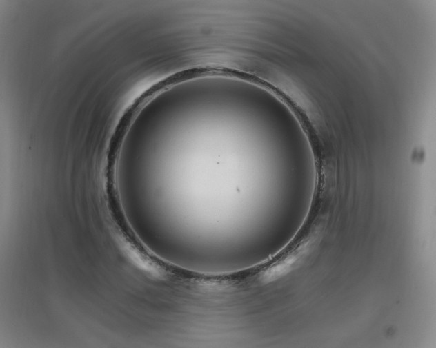 X0000096701020200802051406