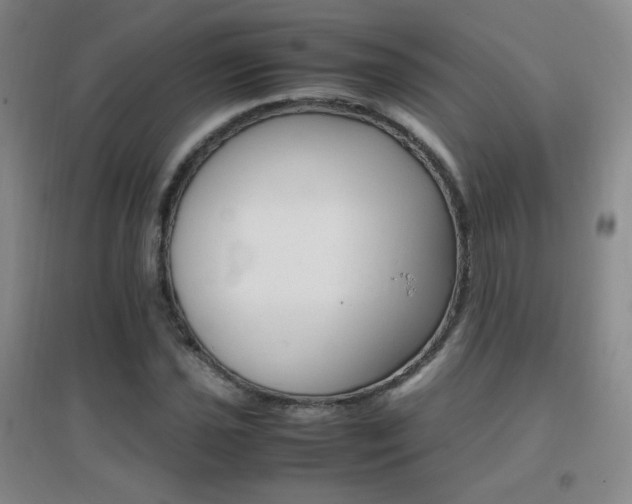 X0000096701021200802051406