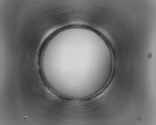 X0000096701022200802051406