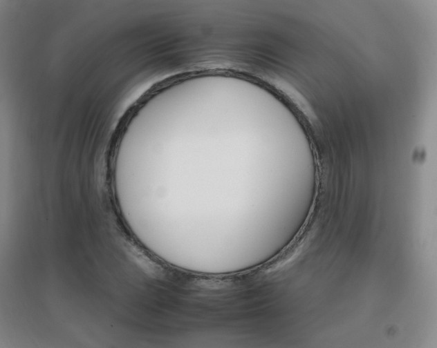 X0000096701023200802051406
