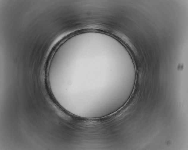 X0000096701024200802051406