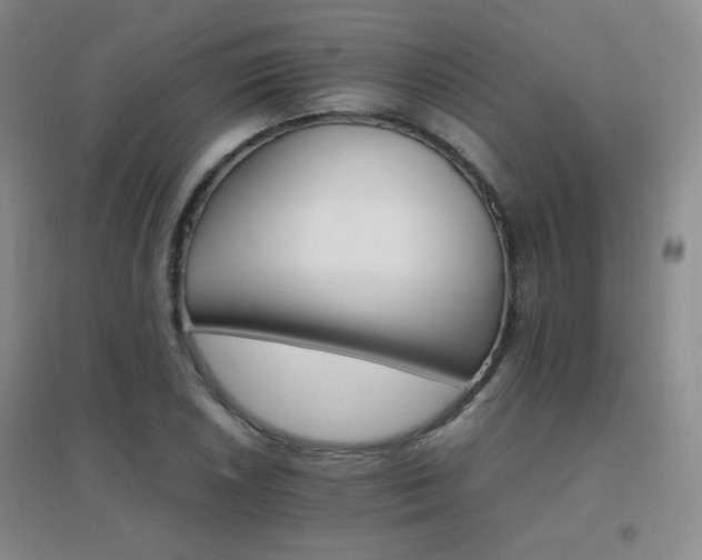X0000096701026200802051406