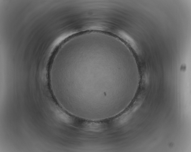 X0000096701027200802051406