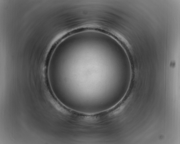 X0000096701029200802051406