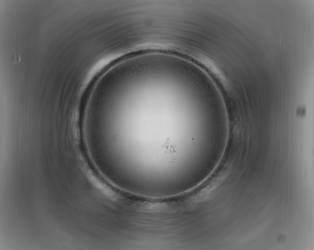 X0000096701030200802051406